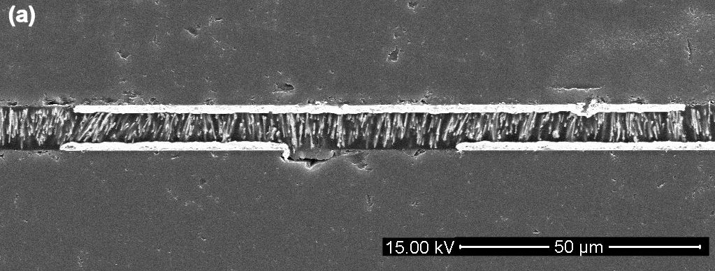 Cross section of bumpless die bonding using nanowire anisotropic conductive film